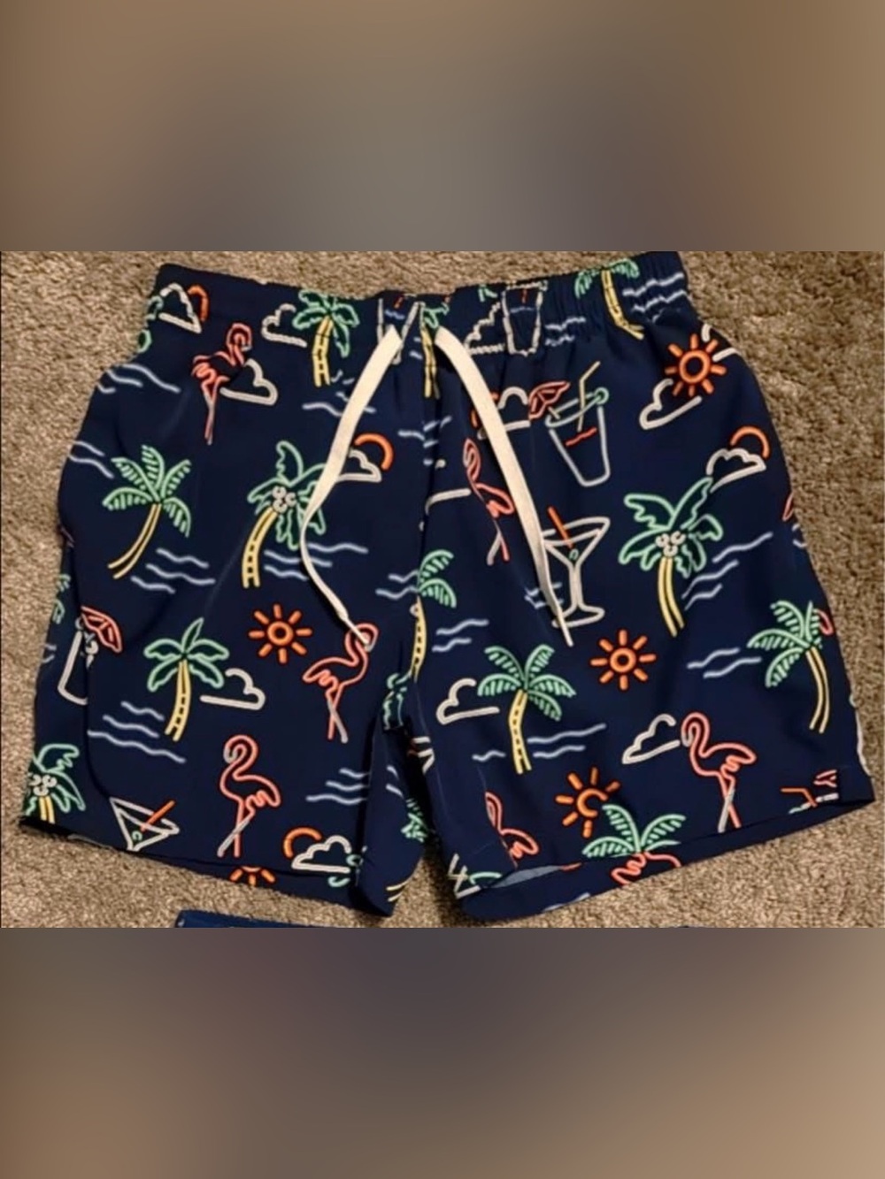 chubbies Blue Palmtrees Logo Swim Label